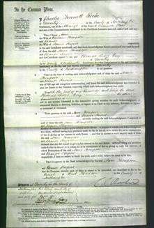 Court of Common Pleas - Anne Thompson and Eleanor Haynes-Original Ancestry