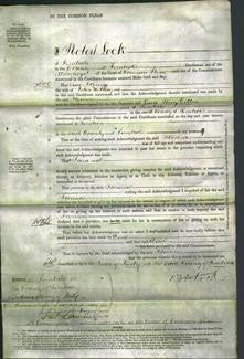 Court of Common Pleas - Florence Williams-Original Ancestry