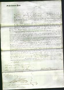 Court of Common Pleas - Charlotte Gibbs, Mary Riley, Elizabeth Robins, Ann Ford and Jane Berry-Original Ancestry