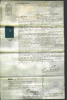 Court of Common Pleas - Sarah Gauntlett-Original Ancestry