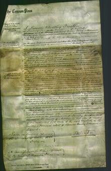 Court of Common Pleas - Elizabeth Curzon-Original Ancestry