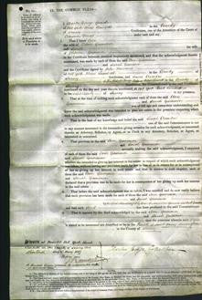 Court of Common Pleas - Ann Gammon and Sarah Gammon-Original Ancestry