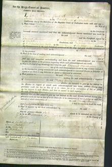 Court of Common Pleas - Mary Ann Willion-Original Ancestry