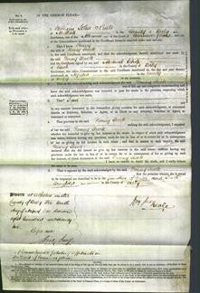 Court of Common Pleas - Fanny Slack-Original Ancestry