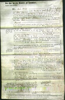 Court of Common Pleas - Ann Heward-Original Ancestry