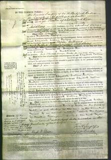 Court of Common Pleas - Elizabeth Victoria Pontifax-Original Ancestry