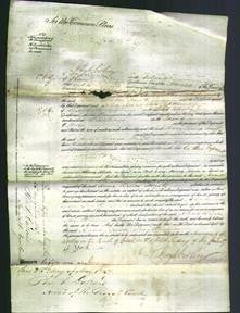 Court of Common Pleas - Anne Teresa Smith-Original Ancestry