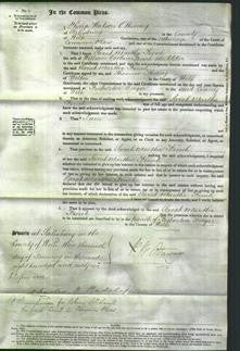 Court of Common Pleas - Sarah Martha Finch-Original Ancestry