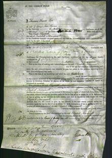 Court of Common Pleas - Elizabeth Normansell-Original Ancestry