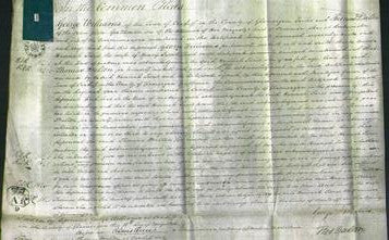 Court of Common Pleas - Hannah Twist-Original Ancestry