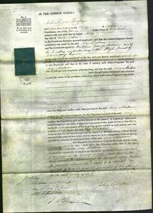 Court of Common Pleas - Mary Matson-Original Ancestry