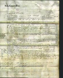 Court of Common Pleas - Ann Gimblett-Original Ancestry