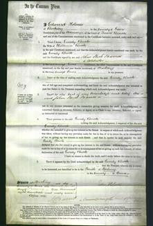 Court of Common Pleas - Emily Buck-Original Ancestry