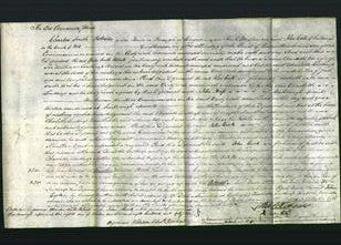 Court of Common Pleas - Charlotte Lawthrop-Original Ancestry