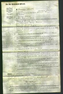 Court of Common Pleas - Eleanor Clark-Original Ancestry