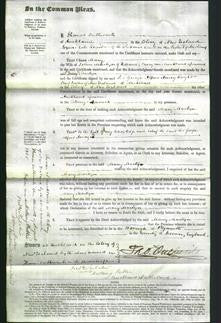 Court of Common Pleas - Mary Martyn-Original Ancestry