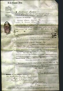 Court of Common Pleas - Eleanor Hannah Foy-Original Ancestry