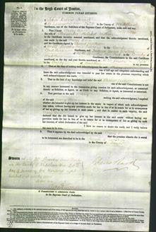 Court of Common Pleas - Mary Ann Willion-Original Ancestry