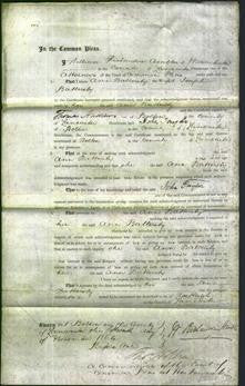 Court of Common Pleas - Ann Battersby-Original Ancestry