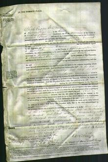 Court of Common Pleas - Isabella Burrard-Original Ancestry