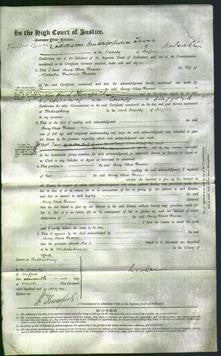 Court of Common Pleas - Amy Alice Weaver-Original Ancestry