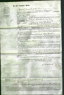 Court of Common Pleas - Ann Griffiths-Original Ancestry