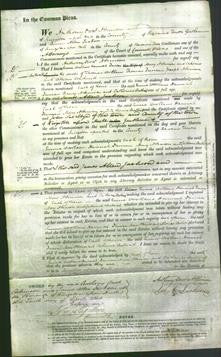 Court of Common Pleas - Emma Woollans, Hannah Duncan, Mary Atkinson and Catharine Weatherill-Original Ancestry