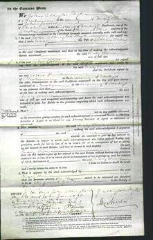 Court of Common Pleas - Mary Owens-Original Ancestry