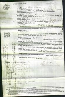 Court of Common Pleas - Matilda Dalison-Original Ancestry