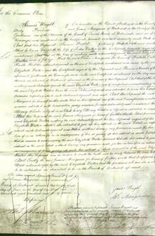 Court of Common Pleas - Elizabeth Walker-Original Ancestry