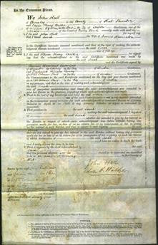 Court of Common Pleas - Sarah Humerston-Original Ancestry