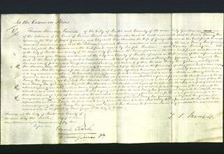 Court of Common Pleas - Fanny Beer Gunning and Elizabeth Beer Sanders-Original Ancestry