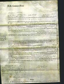 Court of Common Pleas - Hannah Lynn-Original Ancestry