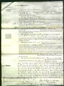 Court of Common Pleas - Hannah Howlett Clarke-Original Ancestry