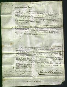 Court of Common Pleas - Catherine Jane Matthew Warner and Augusta Mary Manning-Original Ancestry