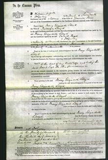 Court of Common Pleas- Elizabeth Lloyd-Original Ancestry