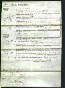 Court of Common Pleas - Elizabeth Leach-Original Ancestry