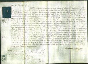 Court of Common Pleas - Mary Anne Gabb-Original Ancestry