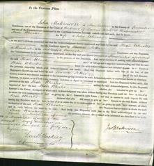 Court of Common Pleas - Phoebe Wheater-Original Ancestry