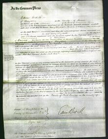 Court of Common Pleas - Mary Elizabeth Williams-Original Ancestry