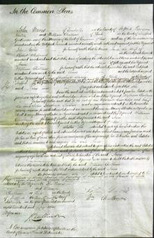 Court of Common Pleas - Anne Millward-Original Ancestry