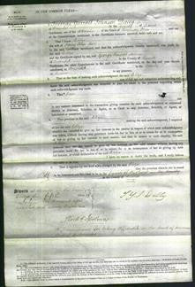 Court of Common Pleas - Eliza Hall-Original Ancestry