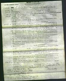 Court of Common Pleas - Caroline Hume-Original Ancestry