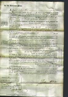 Court of Common Pleas - Elizabeth Ann Jenkins-Original Ancestry