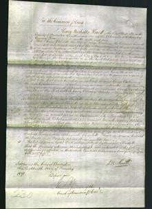 Court of Common Pleas - Charlotte Dower-Original Ancestry