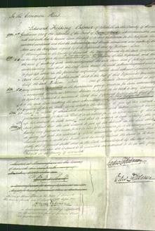 Court of Common Pleas - Ann Ratheram-Original Ancestry