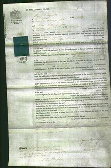 Court of Common Pleas - Mary Iliffe Linwood-Original Ancestry