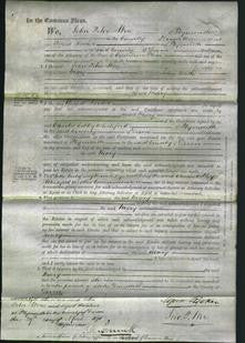 Court of Common Pleas - Mary Bath-Original Ancestry