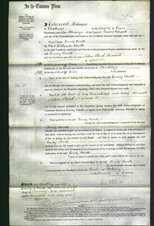 Court of Common Pleas - Emily Buck-Original Ancestry