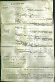 Court of Common Pleas - Ann Elizabeth Haywood-Original Ancestry